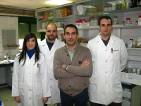 Miembros del equipo de investigacin