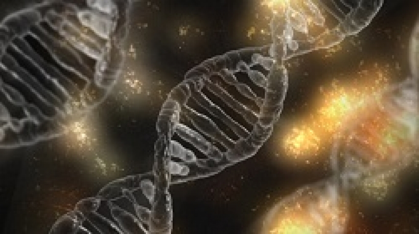La desaparición de bases en el ADN puede ser espontánea o producida por proteínas reparadoras