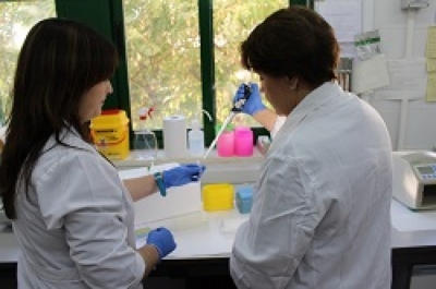 Jóvenes doctorandos trabajando en el laboratorio