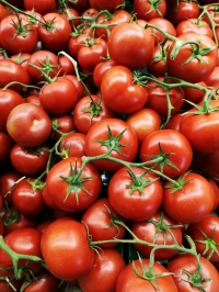 Tomates (imagen de archivo Unsplash)