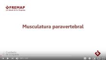 FREMAP musculaturaparavertebral