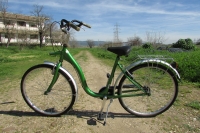 CICLO-CAMPUS: Sistema de prstamo de bicicletas en el Campus de Rabanales