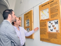 La exposicin La historia a travs de las mariposas, basada en investigaciones de la UCO , recorrer varios municipios de la provincia