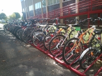 Completada la adjudicacin de bicicletas del Programa A la UCO en Bici. 