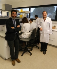 Investigadores andaluces avanzan en el conocimiento de la psoriasis y en su abordaje desde la medicina personalizada