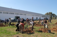 Una plantacin participativa culmina la primera fase del diseo de Bosque Universitario en Rabanales