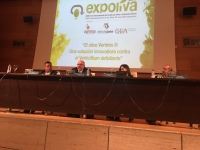 Presentacin del olivo Vertirs en el marco de actividades de Expoliva 2017