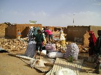 La Universidad enva ayuda a los campamentos saharauis de Tindouf afectados por las inundaciones