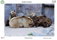 IV Certamen de Fotografa  de Comportamiento de animales de ZOO entre el Zoo de Crdoba y la Facultad de Veterinaria