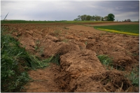 El control de esta erosin permite a los profesionales del sector conocer la situacin de los campos y evitar la prdida y deterioro de las zonas de cultivo