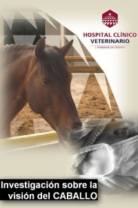 Investigacin del Hospital Clnico Veterinario sobre la visin del caballo 