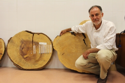 Rafael Navarro, director del laboratorio de silvicultura y cambio climtico de la UCO