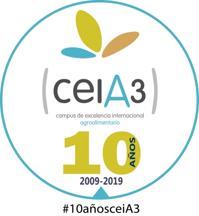 Logo del X Aniversario del ceiA3
