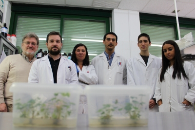 El equipo de investigación que dirige Juan Muñoz, a la izquierda, posa frente a unas muestras de fresas con las que realizan la experimentación