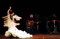 La bailaora Mercedes de Córdoba, en un momento de su actuación
