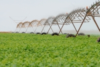 Irrigación de un campo de soja. Foto: Pedro Ventura/Agência Brasília
