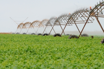 Irrigacin de un campo de soja. Foto: Pedro Ventura/Agncia Braslia