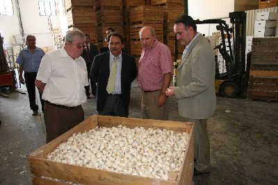 Una representacin institucional de la UCO desarrolla contactos en Montalbn con el Ayuntamiento y empresarios del sector del ajo.