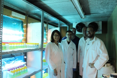Grupo de investigación de la UCO que trabaja en torno a la biología de bacterías marinas en una cámara con muestras
