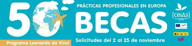 Becas para la realizacin de prcticas profesionales en Europa