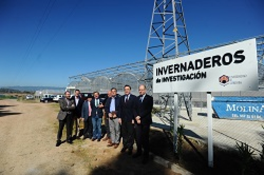 La Universidad de Córdoba renueva sus invernaderos para adaptarlos a las nuevas necesidades de investigación