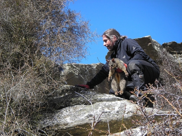 The International Research Community Evaluates GPS Collars to Geolocate Wild Animals