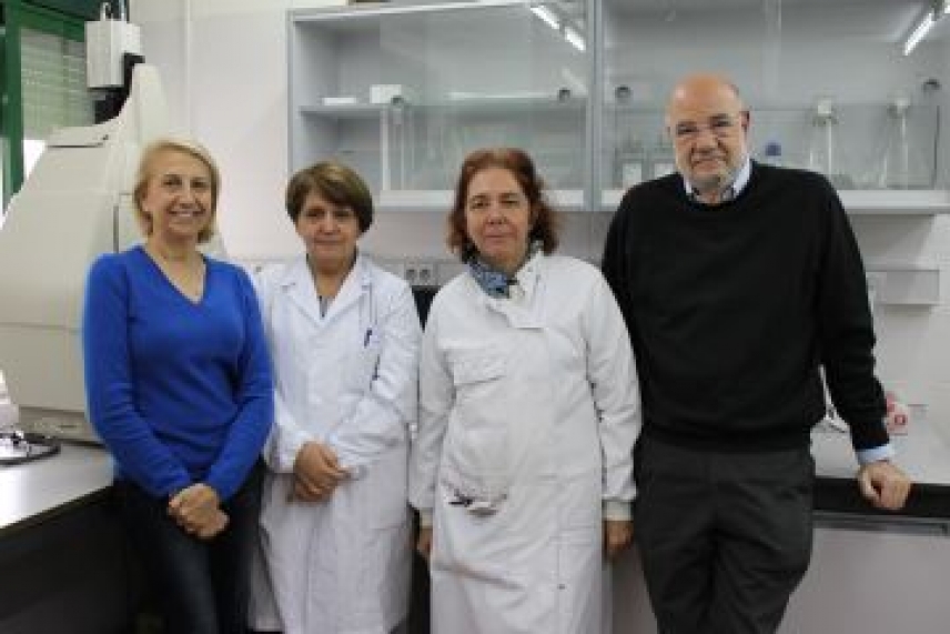 Un ratón autóctono de Doñana ayuda a crear nuevas técnicas para detectar el efecto de los contaminantes
